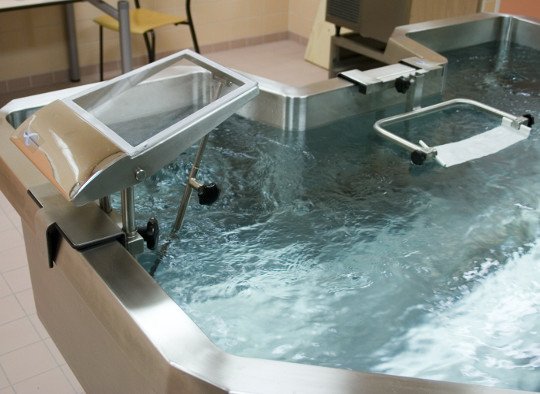 Butterfly Bath | Hubbard tank
