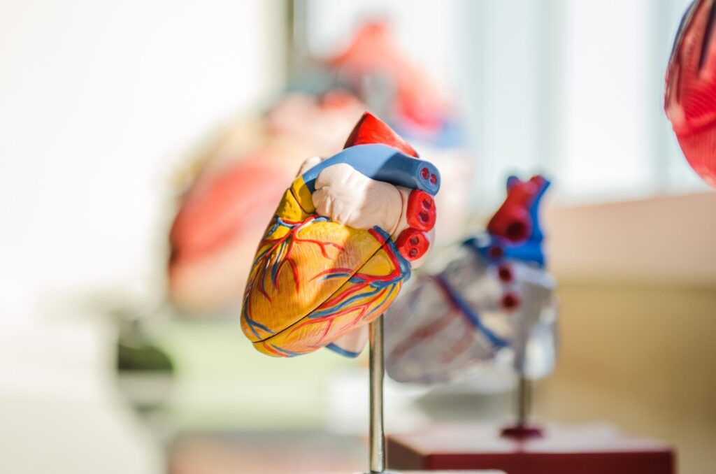 Aquatic physical exercise benefits cardiovascular variables